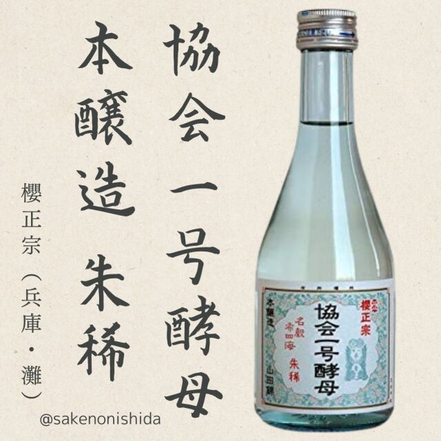 神戸・灘 櫻正宗（さくらまさむね）朱稀（しゅまれ）協会1号酵母 本