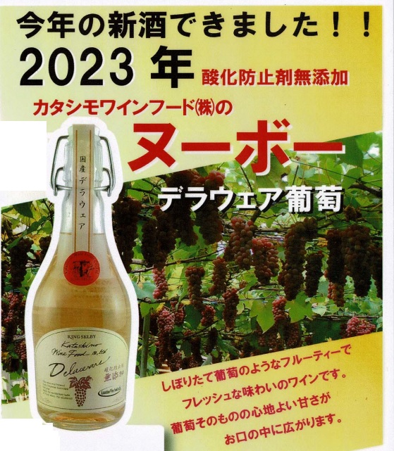 2023カタシモデラウェア新酒