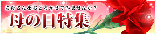 2026年母の日プレゼントギフト特集、酒のにしだ